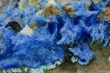Vibrant Blue Cyanotrichite - China #365283-1